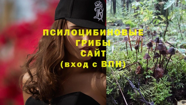 эйфоретик Нея