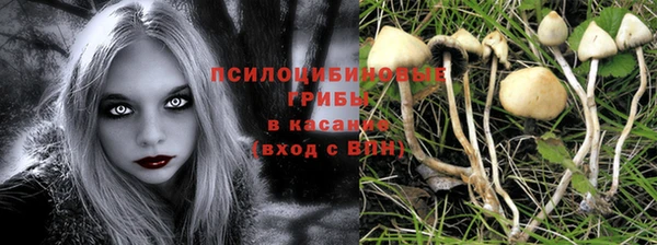 MDMA Нефтегорск