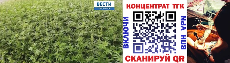 mega рабочий сайт  Новокузнецк  ТГК концентрат 